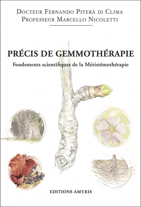Книга Précis de gemmothérapie Pitera di climà