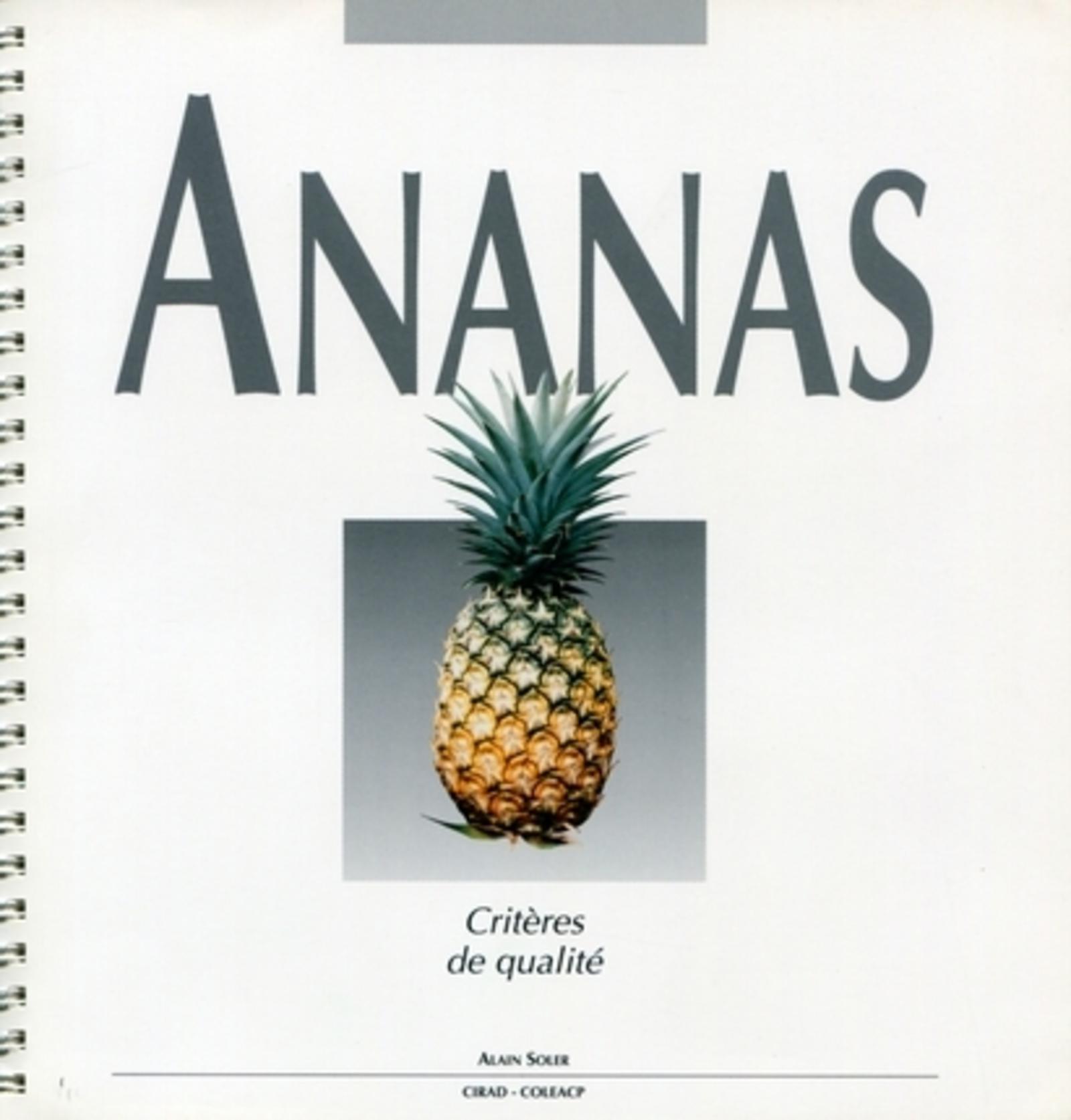 Kniha Ananas Soler