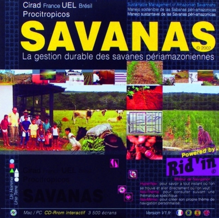 Digitalno Savanas collegium