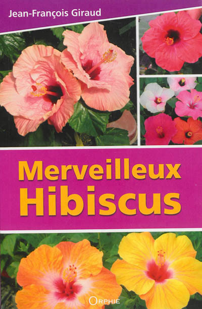 Carte Merveilleux hibiscus Jean-François Giraud