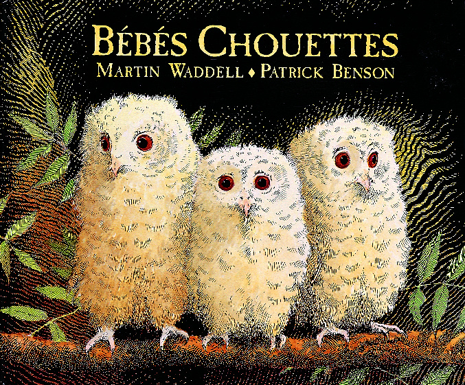 Buch bebes chouettes WADELL