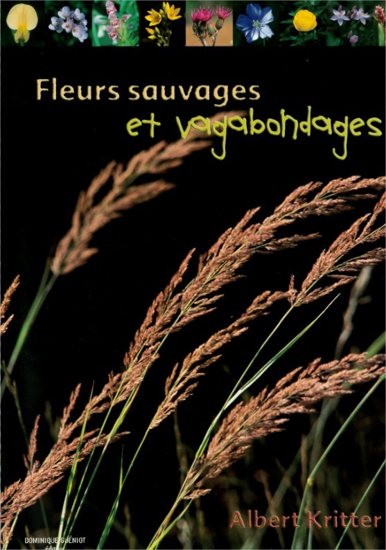 Knjiga Fleurs sauvages et vagabondages Kritter