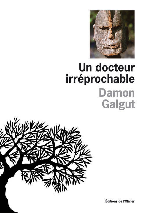Kniha Un docteur irréprochable Damon Galgut