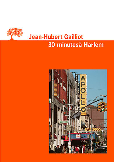 Boek Trente Minutes à Harlem Jean-Hubert Gailliot