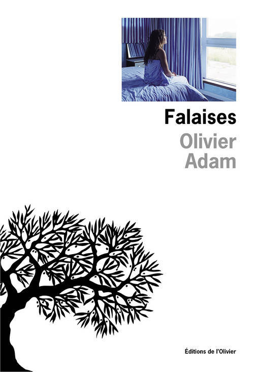 Knjiga Falaises Olivier Adam