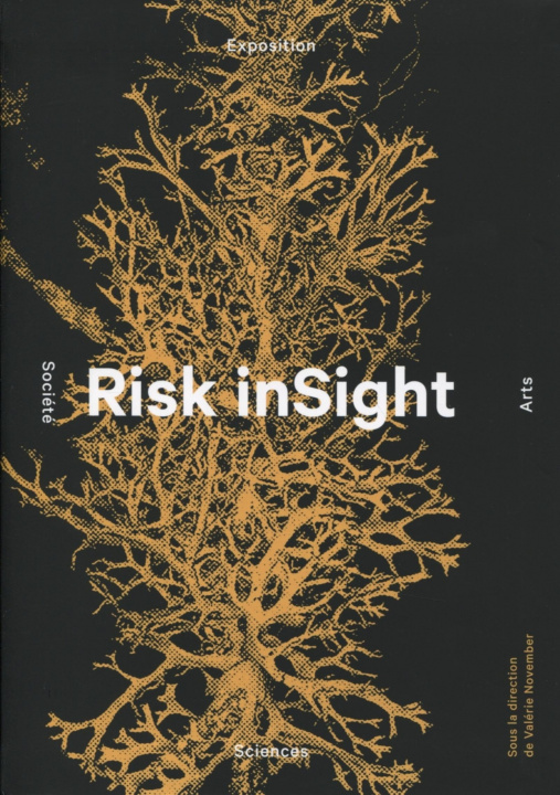 Knjiga Risk InSight November