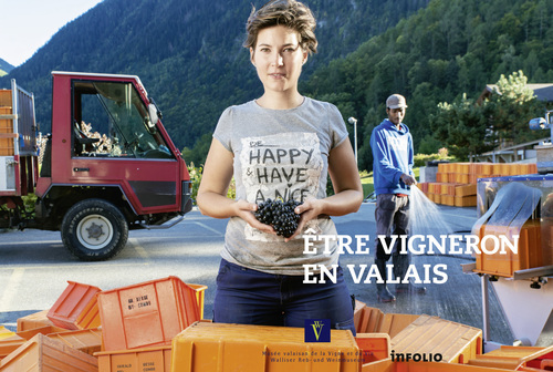 Boek Etre vigneron en Valais collegium