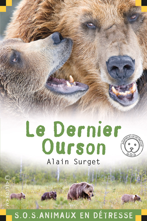 Boek Le dernier ourson SURGET