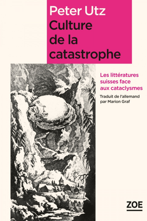 Kniha CULTURE DE LA CATASTROPHE Peter UTZ