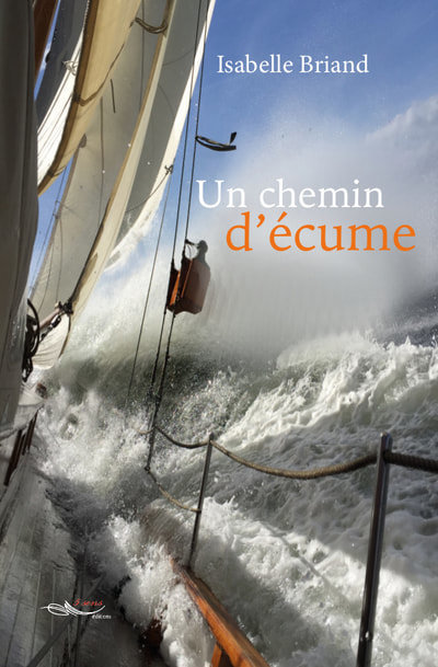 Boek Un chemin d'écume Briand
