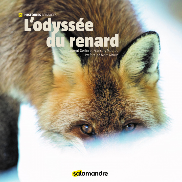 Kniha L'Odyssée du renard GESLIN