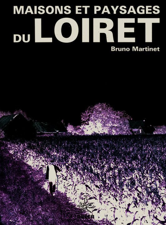 Knjiga Maisons et paysages du loiret Bruno