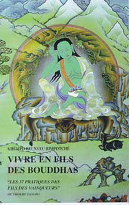 Knjiga Vivre en fils des Bouddhas Khèmpo