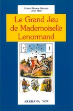 Könyv Grand jeu de Mlle Lenormand Silvestre