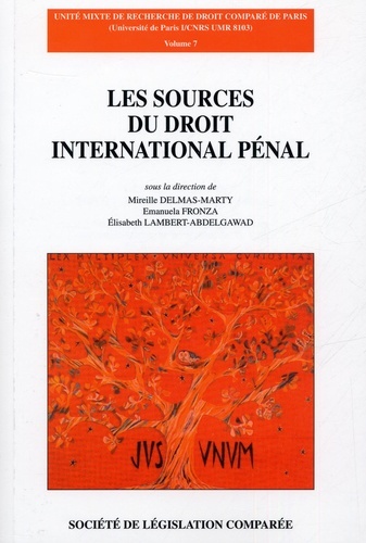 Carte LES SOURCES DU DROIT INTERNATIONAL PÉNAL DELMAS-MARTY M.