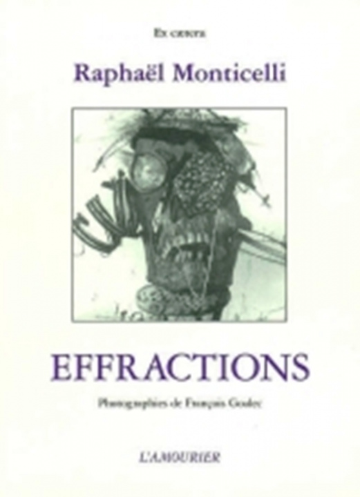Knjiga EFFRACTIONS RAPHAEL