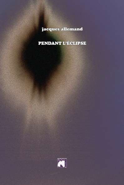 Knjiga PENDANT L'ÉCLIPSE ALLEMAND