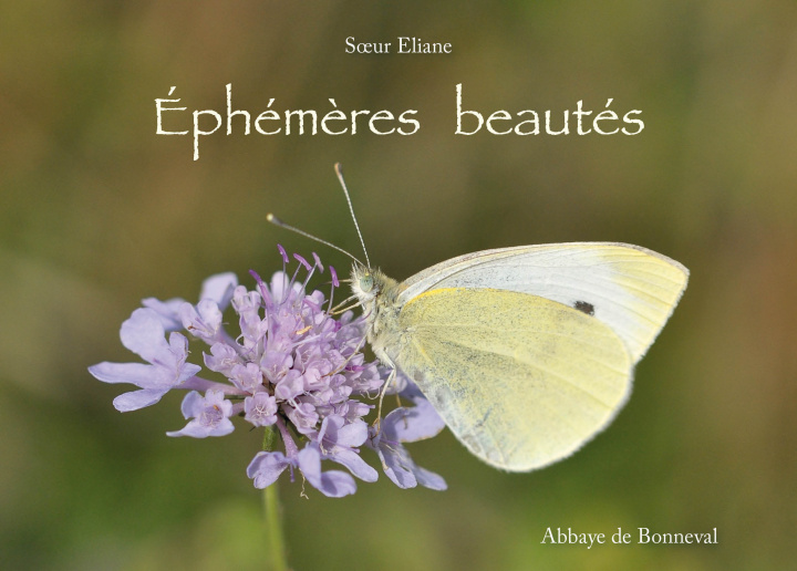 Книга Éphémères beautés Eliane