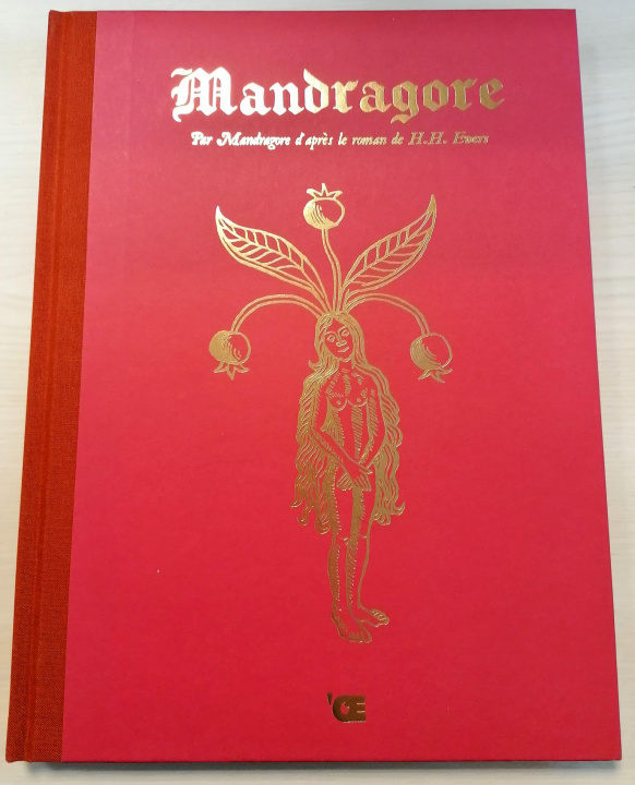 Carte Mandragore 