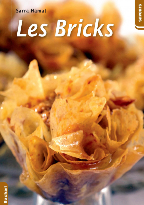 Libro LES BRICKS SARRA