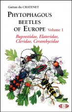 Könyv Phytophagous beetles of Europe volume 1 du Chatenet