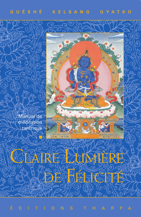 Kniha Claire Lumière De Félicité GYATSO