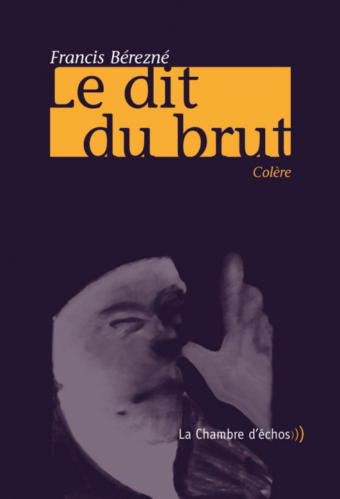 Knjiga Le Dit Du Brut Bérezné