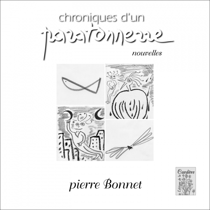 Kniha CHRONIQUES D'UN PARATONNERRE BONNET/PIERRE