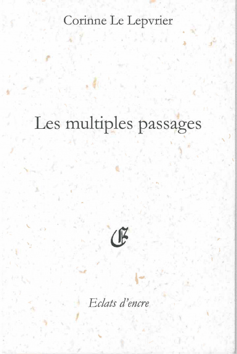Knjiga LES MULTIPLES PASSAGES Le Lepvrier