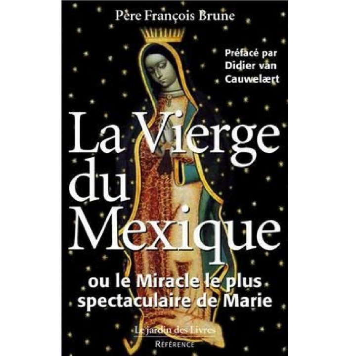 Book La vierge du Mexique BRUNE (PERE)