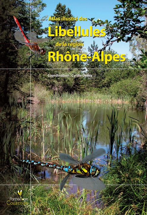 Kniha ATLAS ILLUSTRE DES LIBELLULES DE LA REGION RHONE-ALPES DELIRY CYRILLE