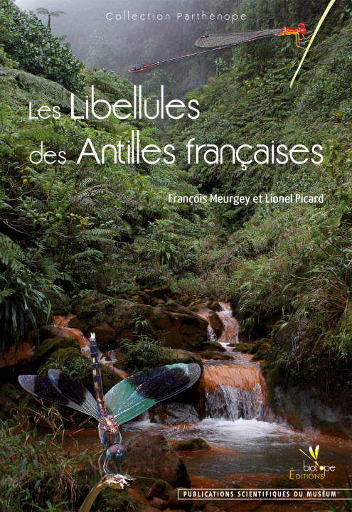 Könyv LES LIBELLULES DES ANTILLES FRANCAISES MEURGEY/PICARD