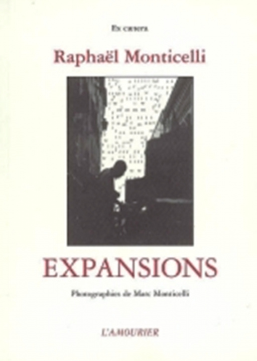 Book EXPANSIONS RAPHAEL