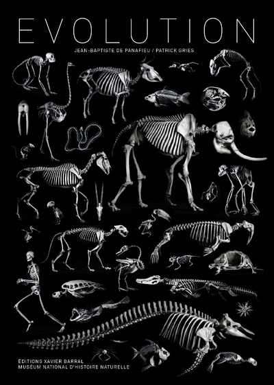 Buch Evolution Jean-Baptiste de Panafieu