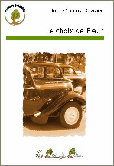 Kniha LE CHOIX DE FLEUR JOEL