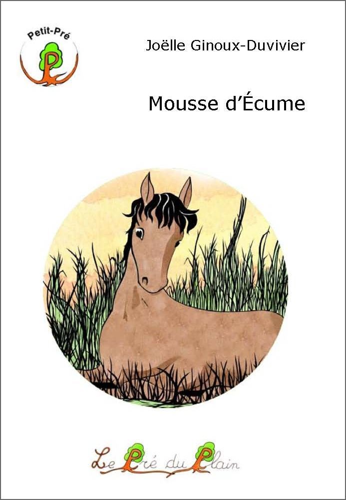 Livro MOUSSE D'ECUME JOEL