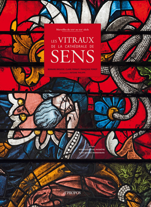 Kniha Les Vitraux De La Cathedrale De Sens - Merveilles Du Xiiie Au Xixe Siecle Brousse