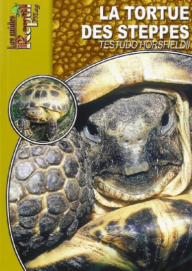 Könyv La tortue des steppes - Testudo horsfieldii Wilms