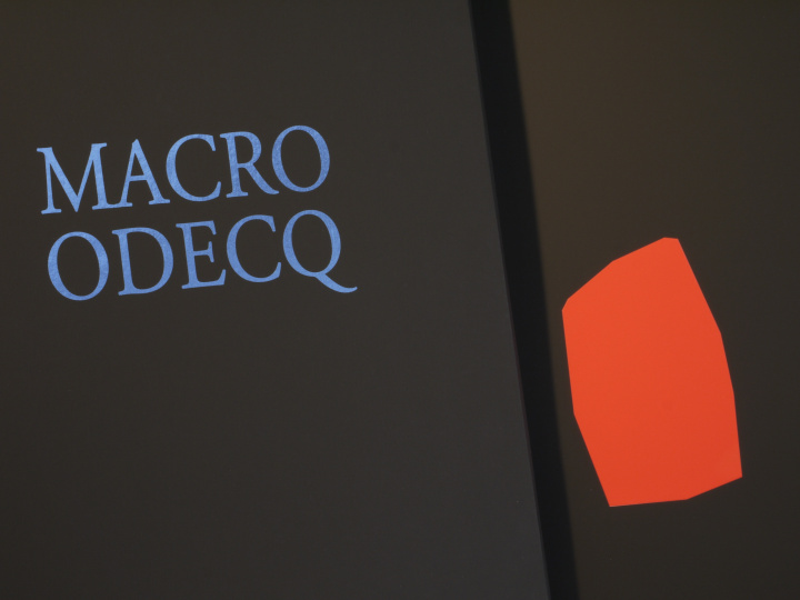 Boek Odile Decq - MACRO DECQ