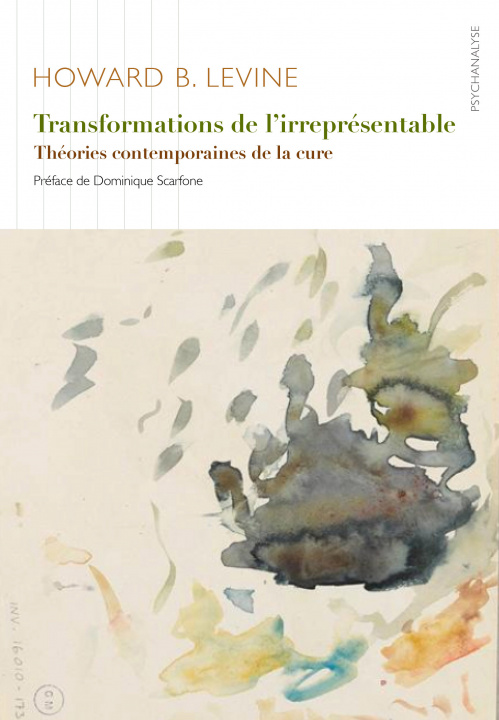 Book Transformations de l'irreprésentable Howard B. Levine