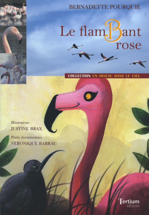 Kniha LE FLAMBANT ROSE Bernadette