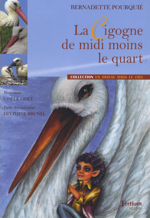 Kniha LA CIGOGNE DE MIDI MOINS LE QUART Bernadette