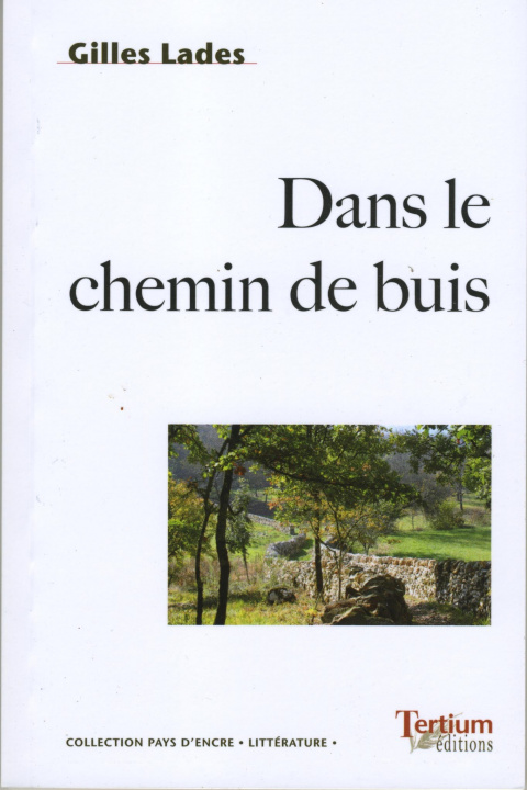 Βιβλίο DANS LE CHEMIN DE BUIS GILLES
