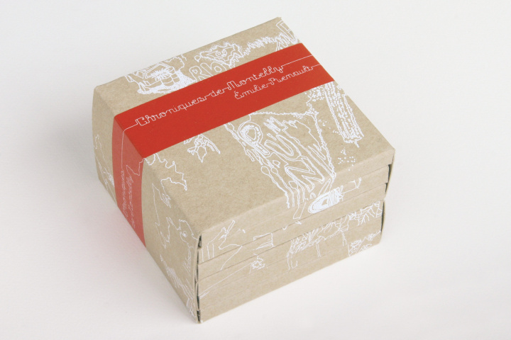 Knjiga Coffret Chroniques de Montelly Botto/Renault