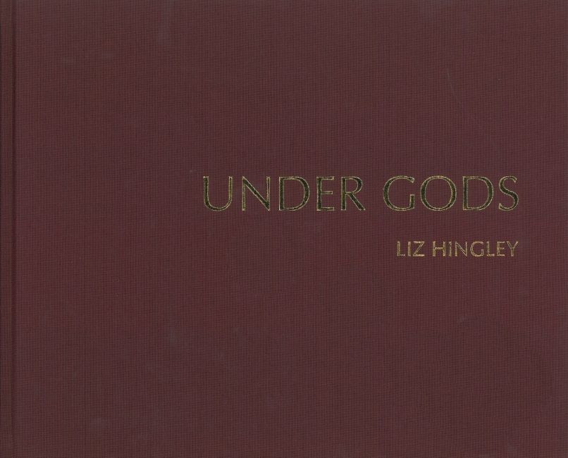 Knjiga Under Gods Liz Hingley