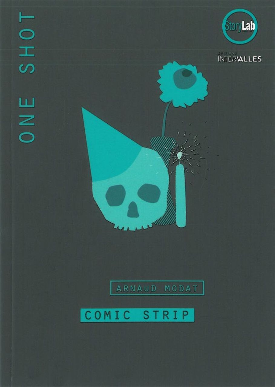 Buch Comic Strip Arnaud Modat