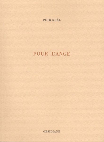 Kniha Pour l'ange Petr Kral