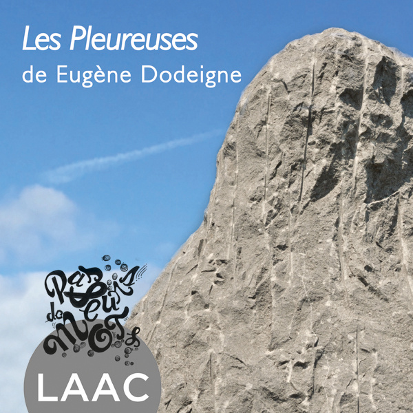 Kniha Les Pleureuses de Eugène Dodeigne Bédoret