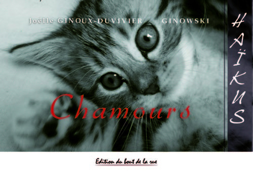 Knjiga CHAMOURS Ginoux duvivi