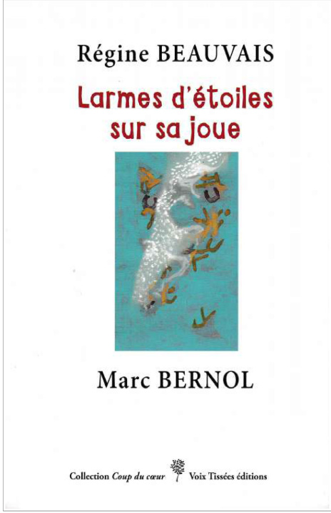 Kniha Larmes d'étoiles sur sa joue Beauvais